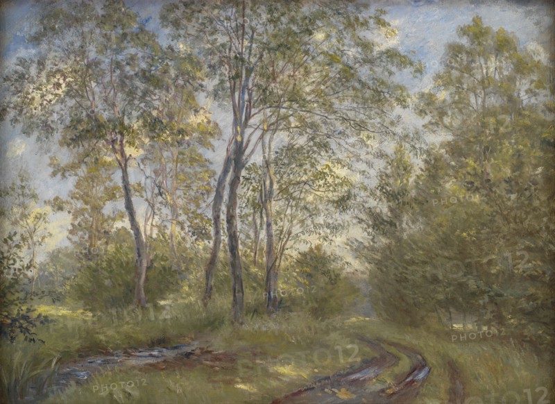 A River near Meilgård Manor, Jutland, 1894. Creator: Theodor Esbern Philipsen.