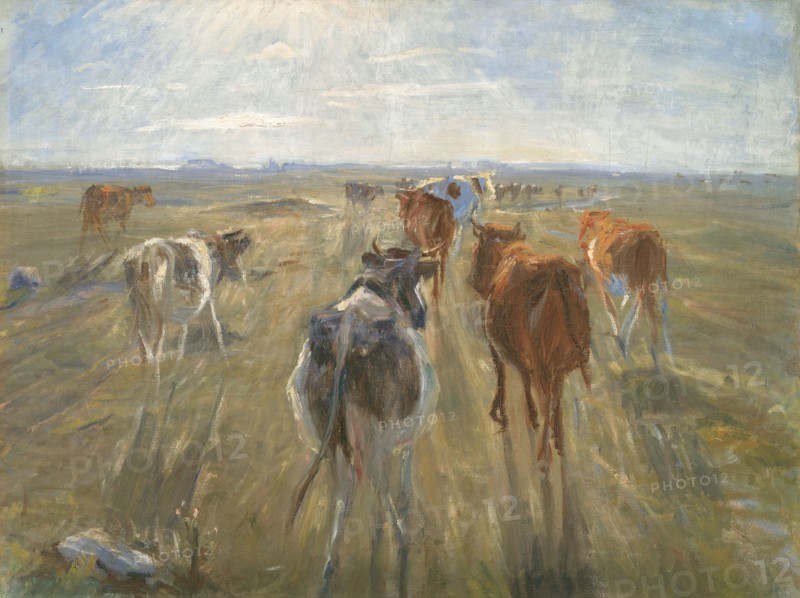 Long Shadows. Cattle on the Island of Saltholm, 1888-1892. Creator: Theodor Esbern Philipsen.