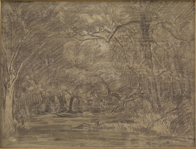 Forest Interior, 1865. Creator: Theodore Rousseau.