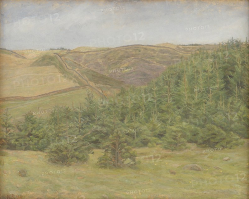 Svanninge Hills, Funen, 1898. Creator: Karl Schou.