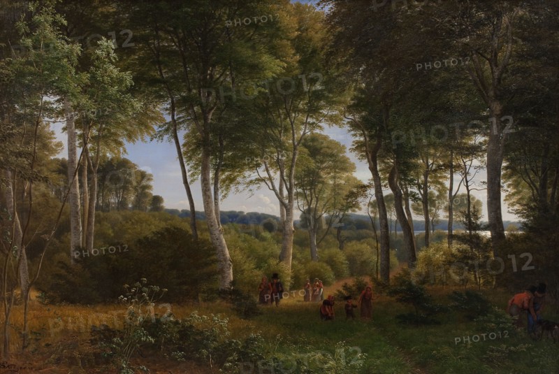 Delhoved Wood near Lake Skarre, Zealand - Afternoon Light, 1847. Creator: Peter Christian Thamsen Skovgaard.