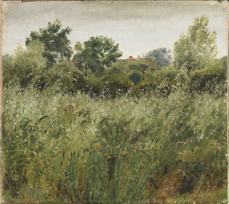 Field of Oats near Vejby, 1843. Creator: Peter Christian Thamsen Skovgaard.