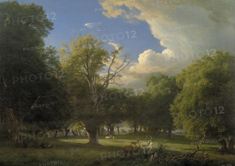 Summer Afternoon with a Passing Shower. The Deer Park in Jægersborg North of Copenhagen, 1874. Creator: Peter Christian Thamsen Skovgaard.