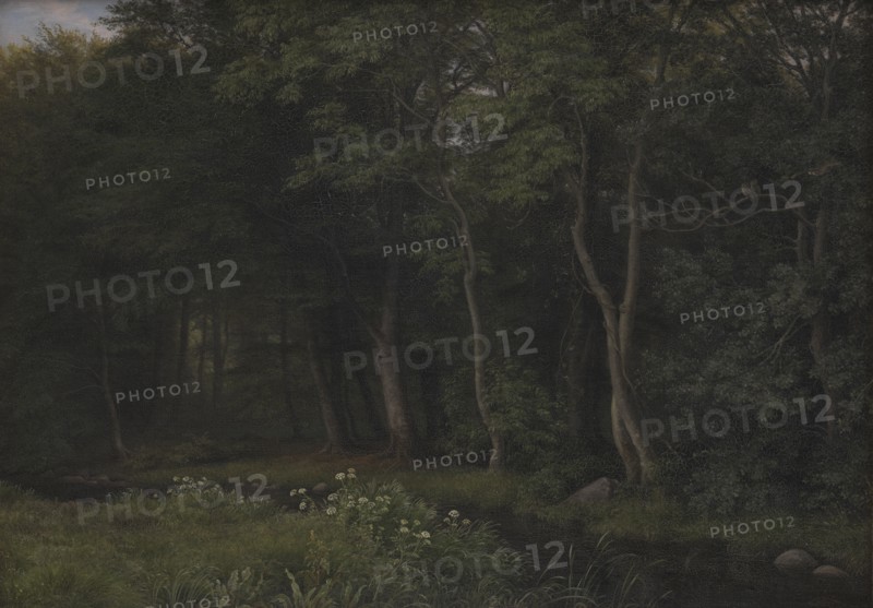 Twilight Setting in a Wood near Iselingen Manor, Zealand, 1860. Creator: Peter Christian Thamsen Skovgaard.