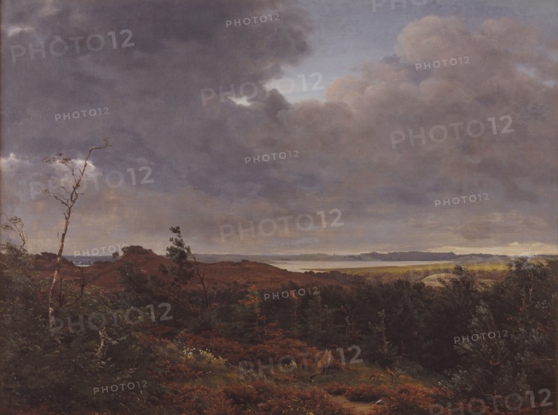 View of Frederiksværk from Tisvilde Wood, North Zealand, 1839. Creator: Peter Christian Thamsen Skovgaard.