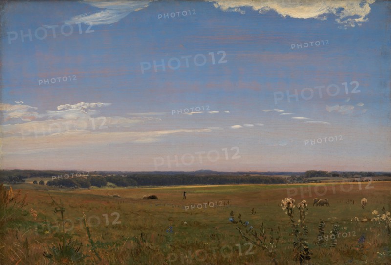 View towards the Beldringe manor, 1847. Creator: Peter Christian Thamsen Skovgaard.