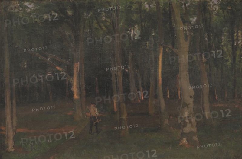 Forest at sunset, 1889. Creator: Hans Smidth.