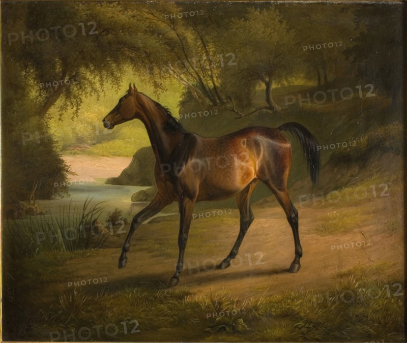Antonia, 1846-1850. Creator: Fritz Thomsen.