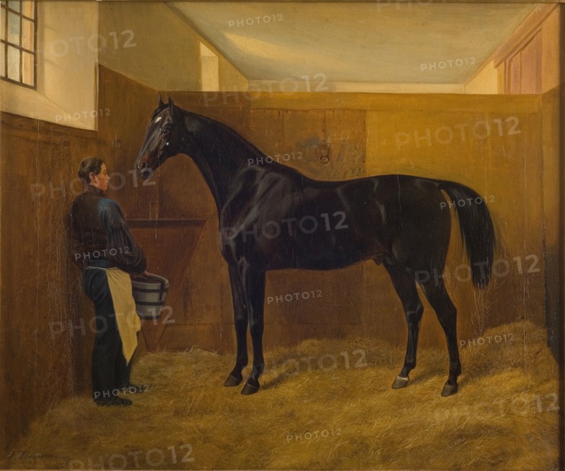 Zampa, 1840-1849. Creator: Fritz Thomsen.