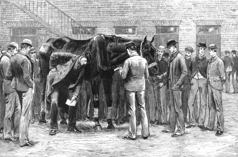 'The Centenary of the Royal Veterinary College, Camden Town; Free Practice -- Sounding...', 1819. Creator: Unknown.