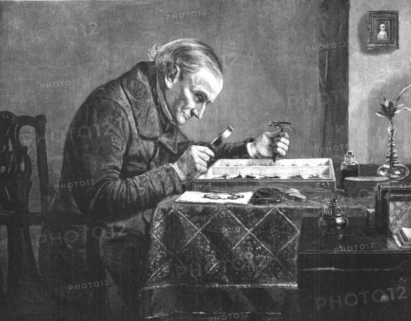 '' The Naturalist, after Stacey Marks, R.A.', 1891. Creator: Henry Stacy Marks.