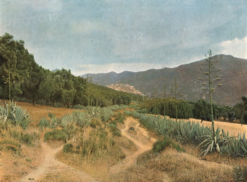 ''La Zaouia du Moulay Idriss; Afrique du nord', 1914. Creator: Jules Gervais-Courtellemont.