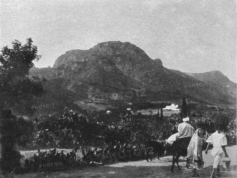 ''Zaghouan. Le grand pic; Afrique du nord', 1914. Creator: Unknown.