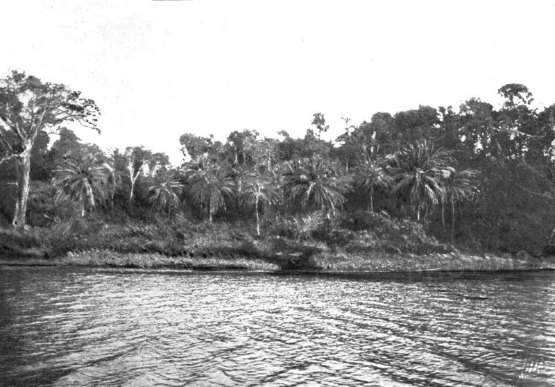 ''Bords du Comoe; L'Ouest Africain', 1914. Creator: Unknown.