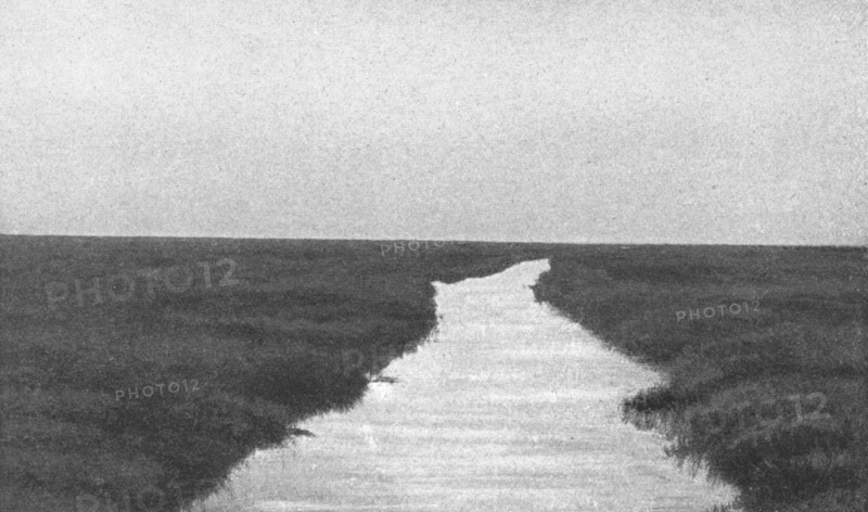 ''Un aspect du Sudd; Le Nord-Est Africain', 1914. Creator: Unknown.