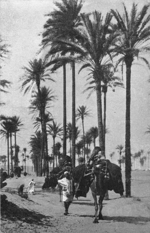 ''Types d'Arabes de la Tripolitaine; Le Nord-Est Africain', 1914. Creator: Unknown.