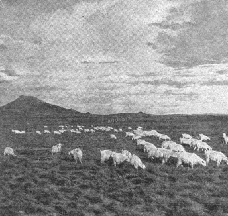 ''Un aspect du Haut Veld; Afrique Australe', 1914. Creator: Unknown.