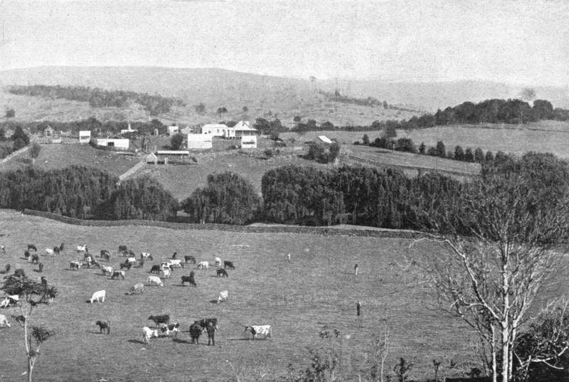 ''Une ferme dans la Nouvelle-Galles du Sud; Les Terres Du Pacifique', 1914. Creator: Unknown.