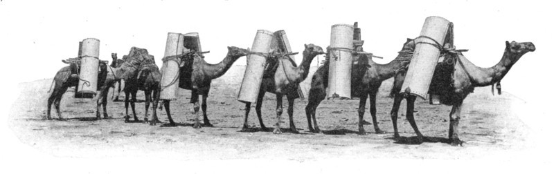'Transport de materiaux a dos chameau dans le partie septentrionale de 'lAustralie du Sud..., 1914. Creator: Unknown.