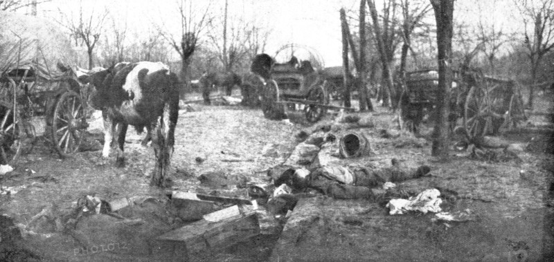 'La Serbie Victorieuse; l'etat de avenue du Bois de Topchidere, Belgrade', 1914. Creator: Unknown.