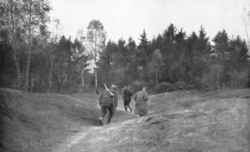 ''En Foret D'Argonne; Passage dangereux a travers une clairiere', 1915. Creator: Unknown.