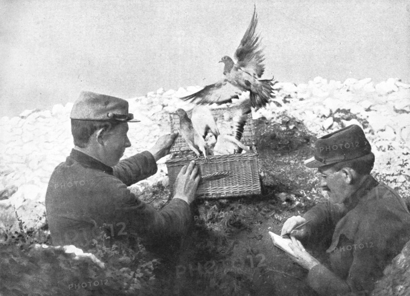 ''Precieux Auxiliaires; Un lacher de pigeons', 1915. Creator: Unknown.