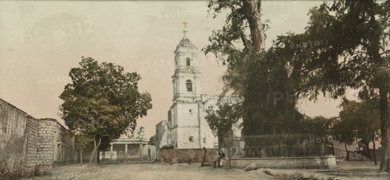The tree of Noche Triste, Popotla, between 1884 and 1900. Creator: William H. Jackson.