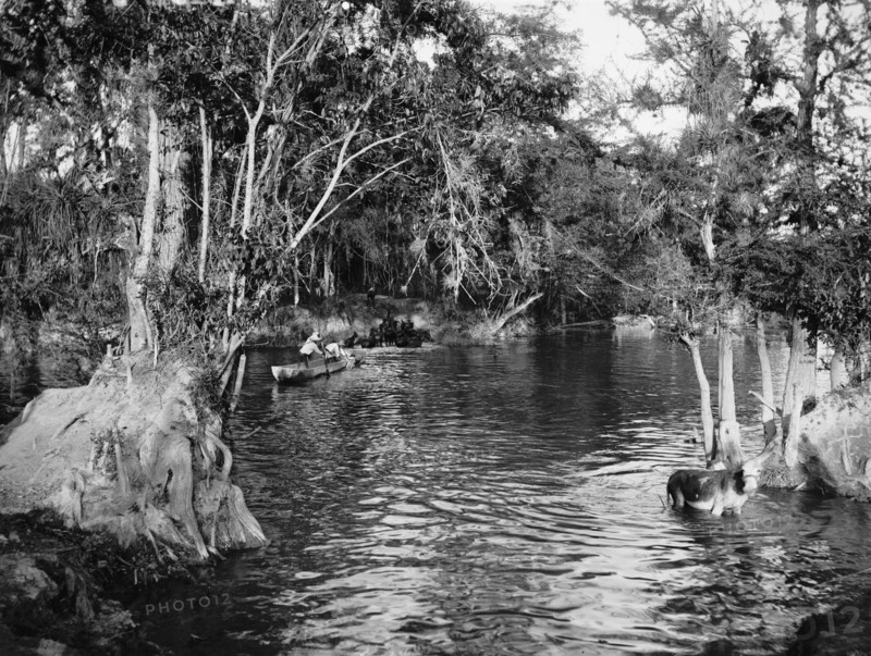 Ferry at Puente Real, between 1880 and 1897. Creator: William H. Jackson.