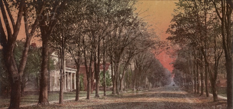 Elizabeth Street, Dansville, N.Y., ca 1900. Creator: Unknown.