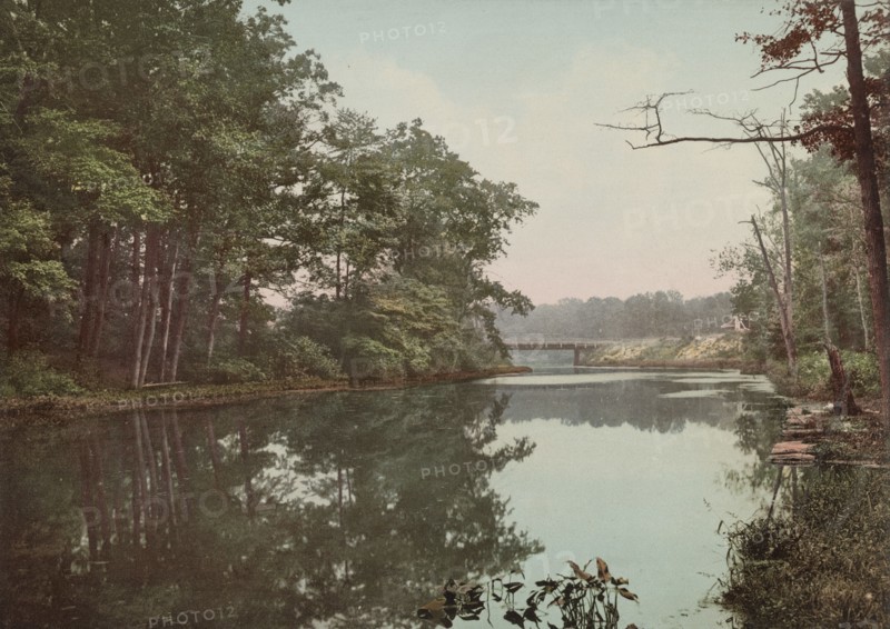 Bronx River in Bronx Park, New York, c1901. Creator: Unknown.