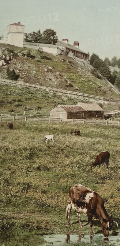 Old Fort Mackinac from the pasture, ca 1900. Creator: Unknown.