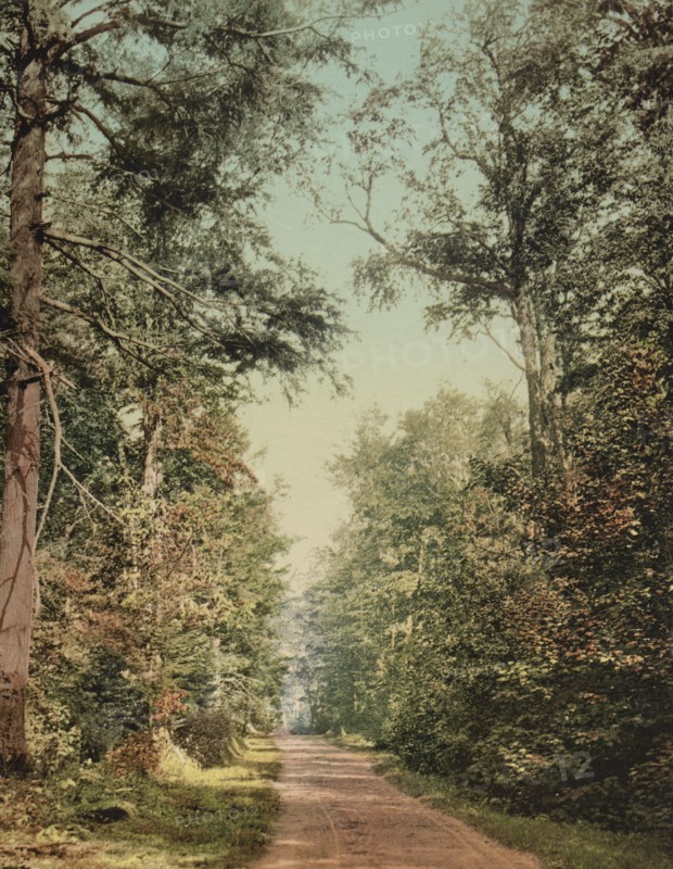The Drive on Presque Isle [Park], Lake Superior, c1898. Creator: Unknown.