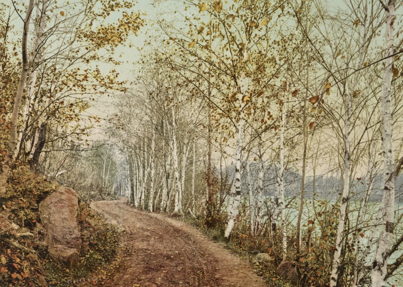 A Northern autumn, c1898. Creator: Unknown.