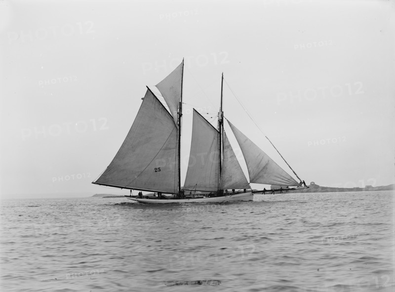 Mayflower, July 15, 1889, 1889 July 15. Creator: Unknown.