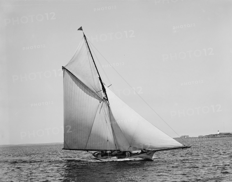 Saracen, 1891 May 12. Creator: Unknown.