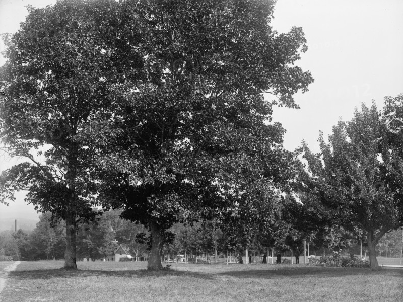 Toward the spring house, Poland Spring Hotel, South Poland, Maine, c1900. Creator: Unknown.