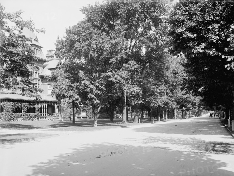 Delaware Ave., Buffalo, N.Y., c1900. Creator: Unknown.