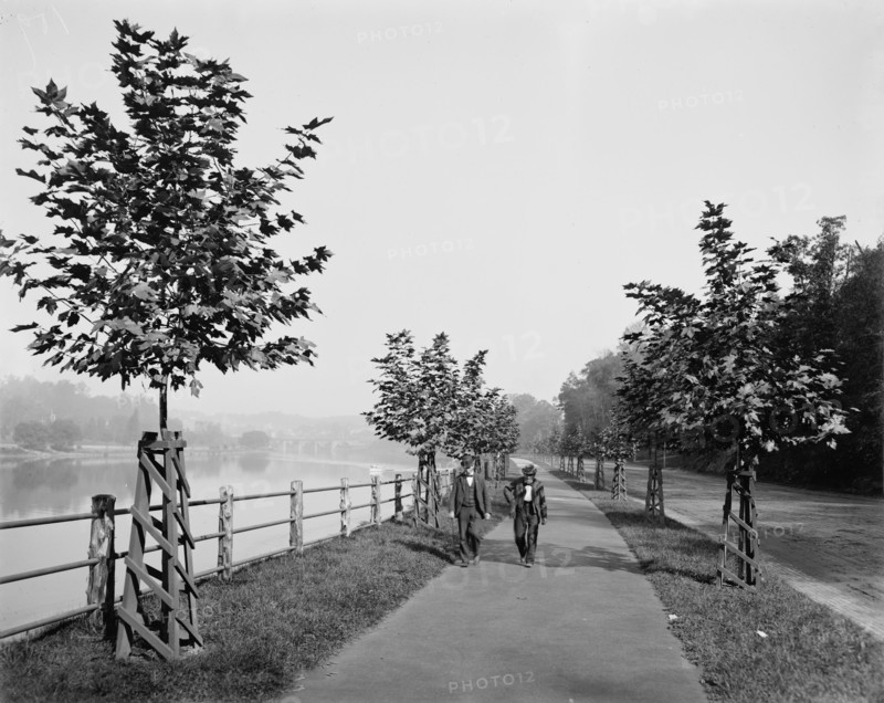 River Drive, Fairmount Park, Philadelphia, between 1900 and 1906. Creator: Unknown.