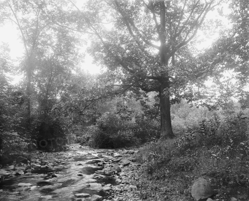 West River at Westville, New Haven, between 1900 and 1906. Creator: Unknown.