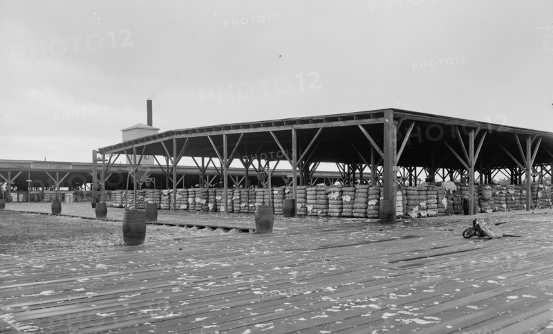 Atlantic Cotton Compress Company, Pensacola, Fla., between 1900 and 1906. Creator: Unknown.