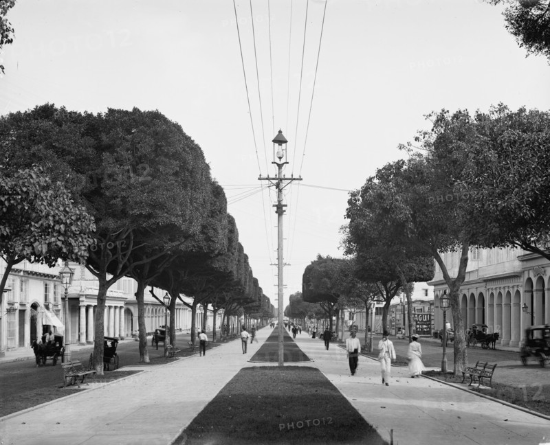 The Prado, looking north, Havana, Cuba, c1904. Creator: Unknown.