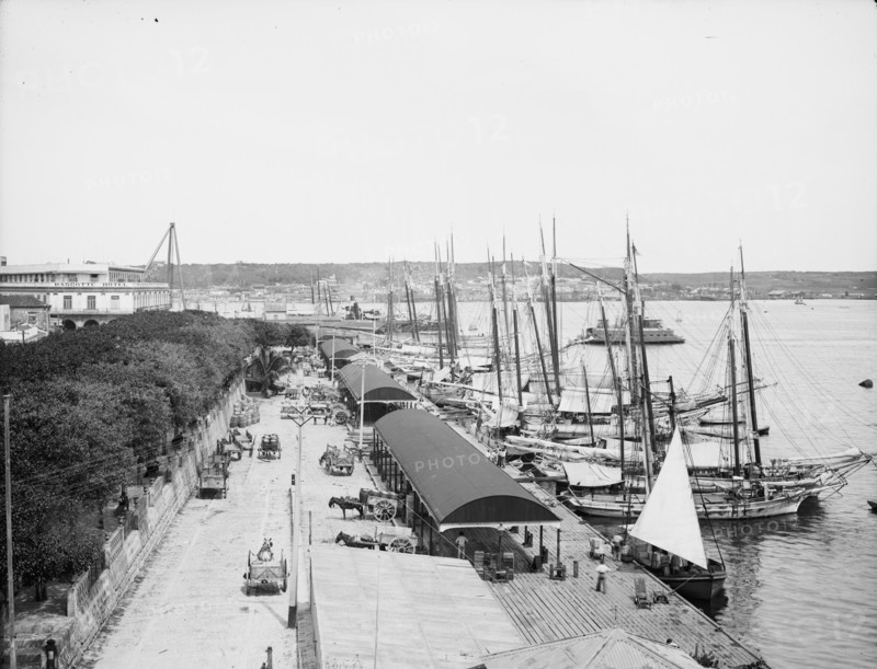 Muelle "Paula", Havana, Cuba, c1904. Creator: Unknown.