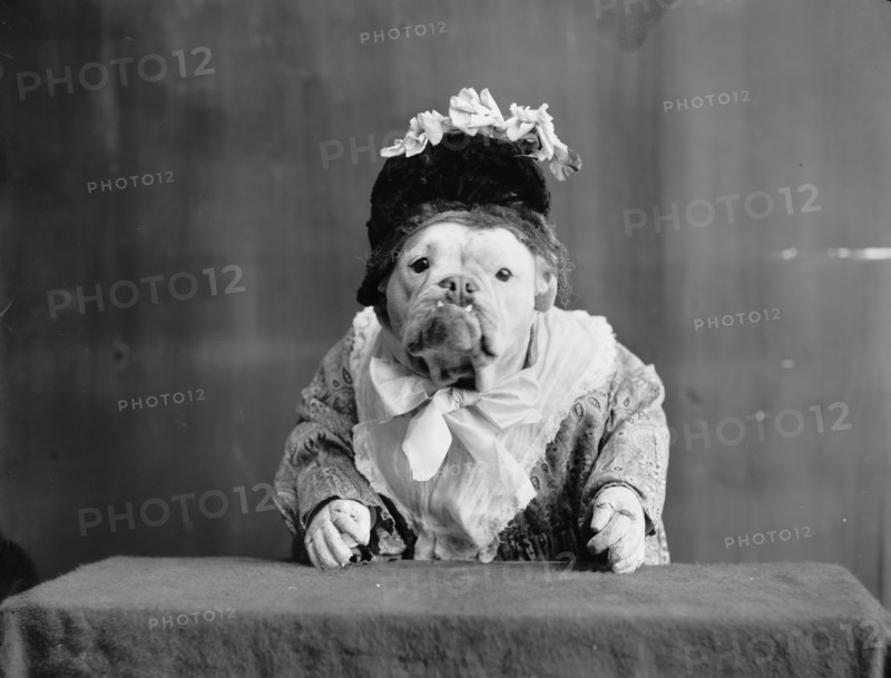 The Missis, c1905. Creator: Unknown.