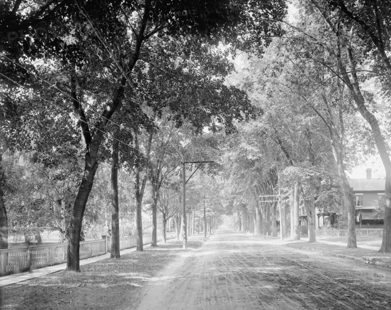 Brinkerhoff St. (west from park), Plattsburgh, N.Y., c1907. Creator: Unknown.