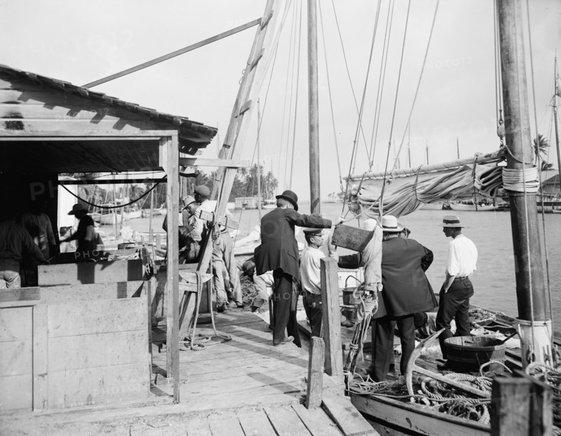 Miami, Fla., fish docks along the Miami, between 1900 and 1920. Creator: Unknown.