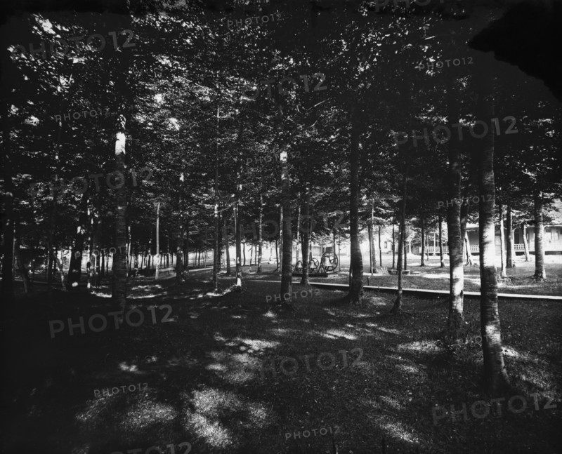 Grove, Bay View, Mich., The, between 1890 and 1905. Creator: Unknown.