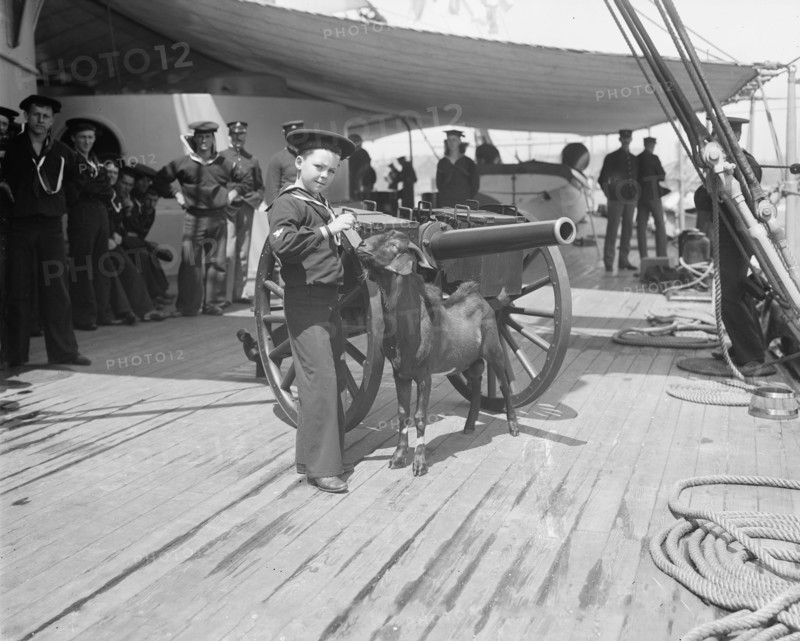U.S.S. New York, Admiral Sampson's son and Pitch the mascot, between 1893 and 1901. Creator: William H. Jackson.