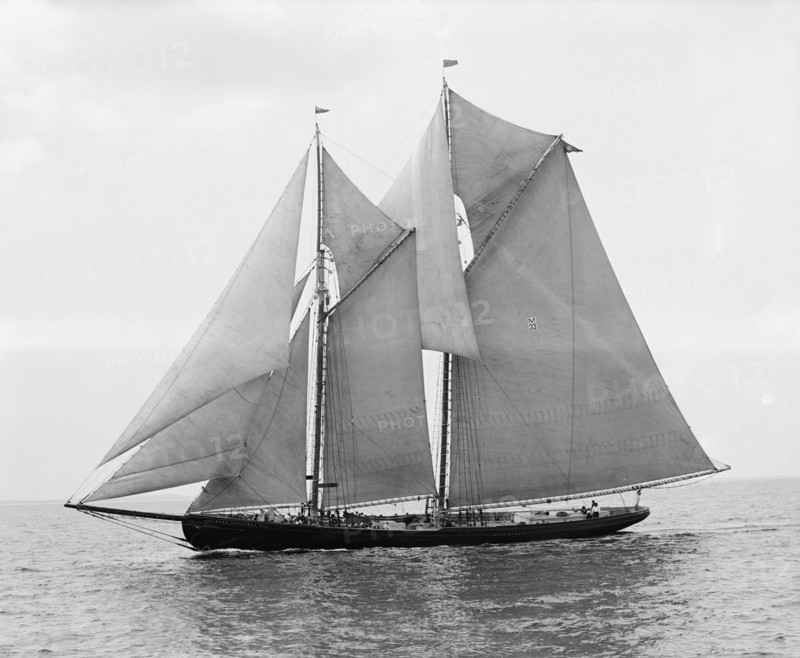Rose Dorothea, winner of Lipton Cup, in first [?] Fishermen's Race, 1907. Creator: Unknown.