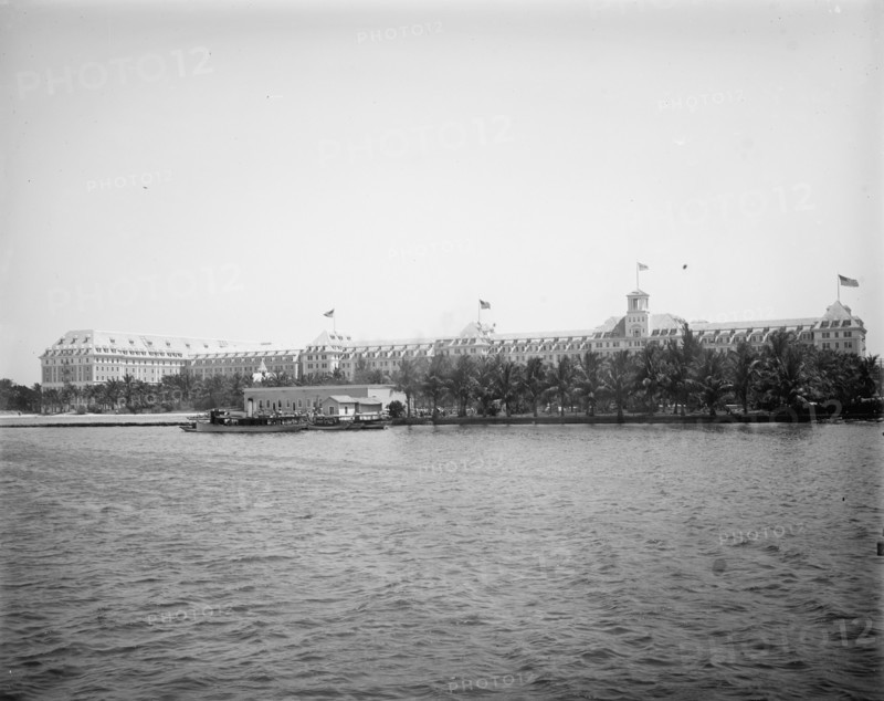 Royal Poinciana from wharf, Palm Beach, Fla., 1902. Creator: Unknown.