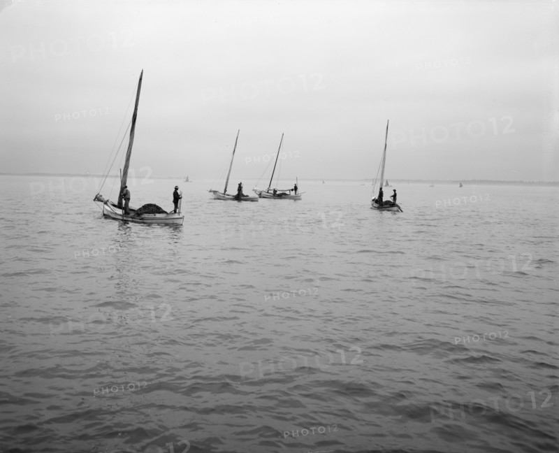 Oyster dredging, between 1900 and 1910. Creator: Unknown.